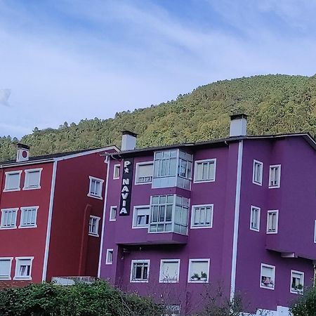 Pension Navia A Pontenova Екстериор снимка
